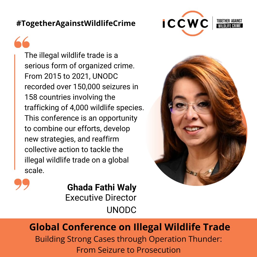 Executive Director of @UNODC Ghada Fathi Waly called attention to the global and serious nature of the illegal wildlife trade & the need for countries to combine efforts to combat #wildlifecrime. 🌳

#TogetherAgainstWildlifeCrime #FromSeizureToProsecution