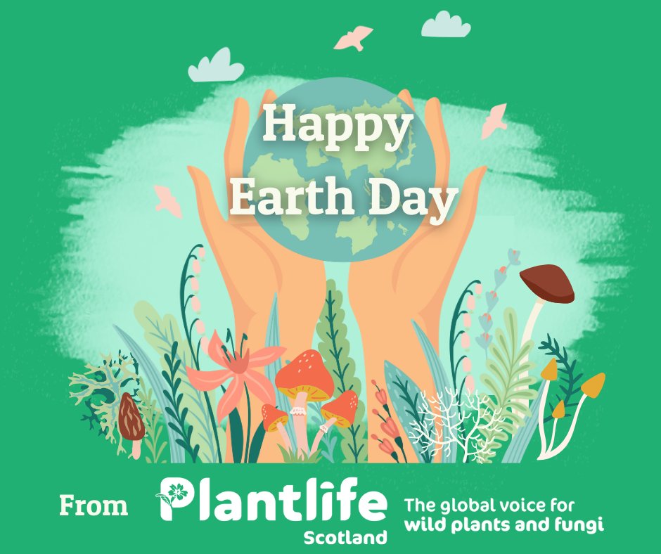 Happy #EarthDay everyone! 🌏🌎🌍 Here are some ways you can get outside and celebrate the earth today: plantlife.org.uk/get-involved/e…