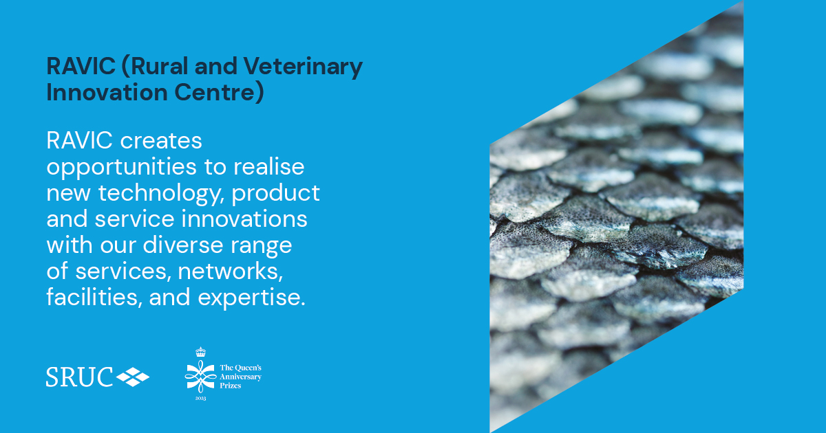 CULTIVATING AQUACULTURE |  RAVIC is home to #CEPH, which engages in world-class #aquaculture and agriculture #research.

Discover what #RAVIC can do for you: issuu.com/sruc1/docs/104…