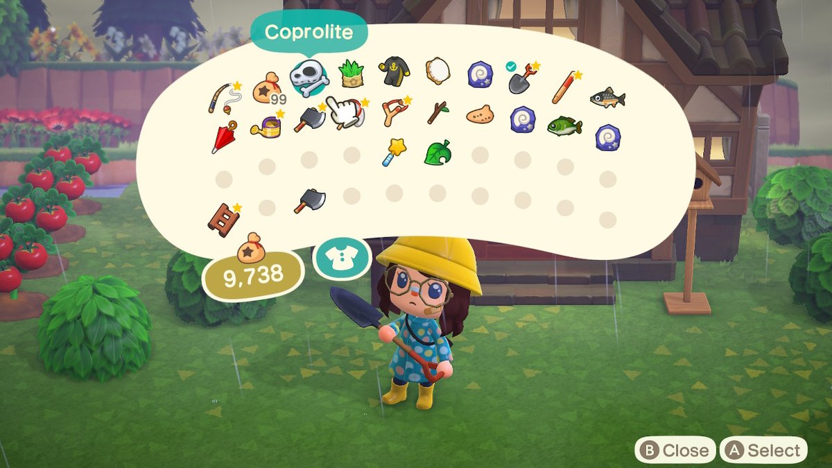 MIsVeryOnline's tweet photo. #AnimalCrossing #ACNH #NintendoSwitch https://t.co/V7BocXuQcU