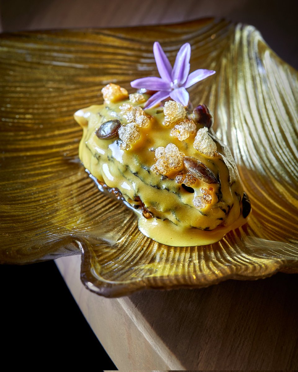 Preparamos vegetales de una forma única, aprovechando su sabor y textura e incorporándolo a otros para descubrir nuevas experiencias culinarias.

#rodrigodelacalle #elinvernaderorestaurante