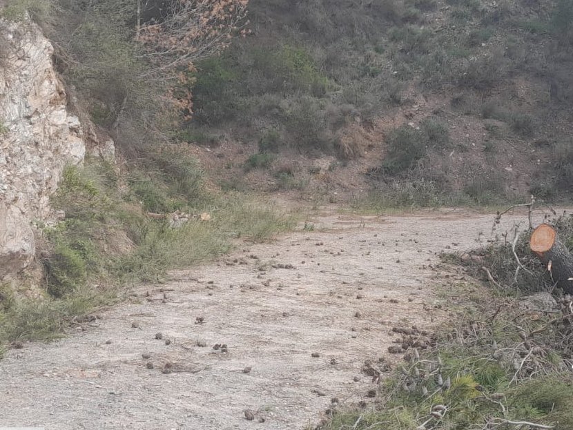 ⭕️ Este es el trabajo que realizan nuestros compañeros en los entornos rurales, donde son una pieza clave cuando se produce cualquier emergencia. 👉 Despejando la vía cortada por la caída de un pino, en el monte Cortijo Colorado, #Motril (Granada). #TrabajamosPorTi