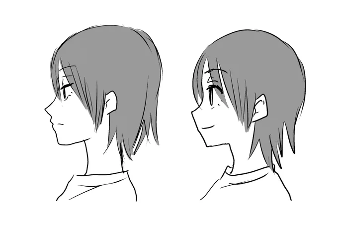 豚鼻はブサイクだっていう植え付けられた価値観のせいで絵を描き始めてしばらく右の横顔が描けなかった 