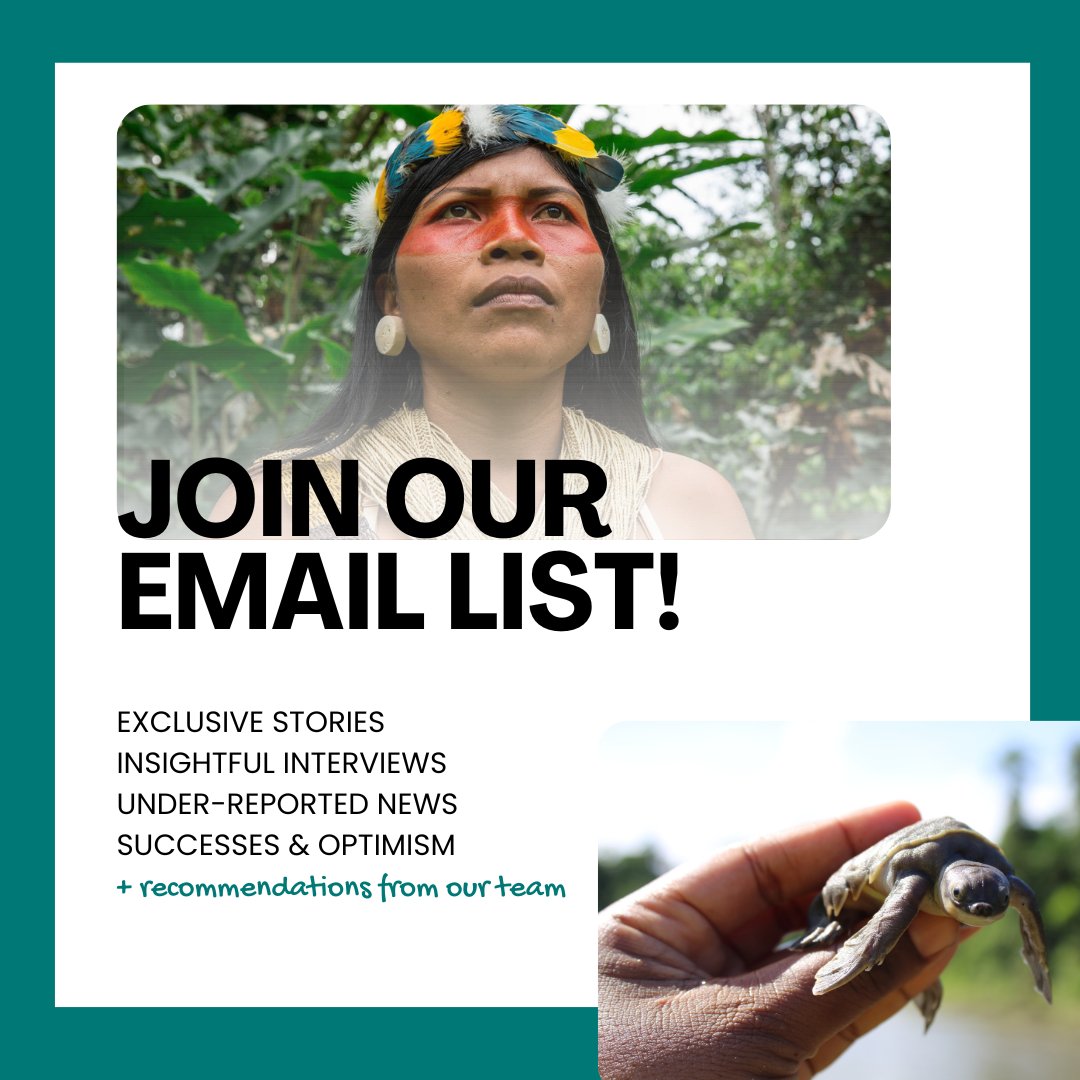 As #EarthDay2024 sees lifestyle tips and tree planting fill our newsfeeds, take a moment to consider which stories you aren't seeing. We specialise in overlooked species and ecosystems; sign up so you don't miss out on under-reported stories: synchronicityearth.org/stories/newsle… #EarthDay
