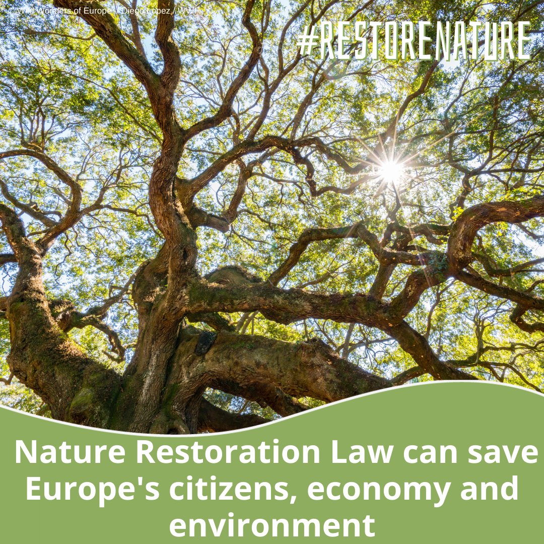 A kind reminder for today's #EarthDay 👇

Nature is our best hope against floods, droughts, wildfires & heatwaves 💧

The upcoming #RestoreNature Law will strengthen our rivers, forests and marine habitats to protect us from climate change 🔥

@EU2024BE seal the deal!