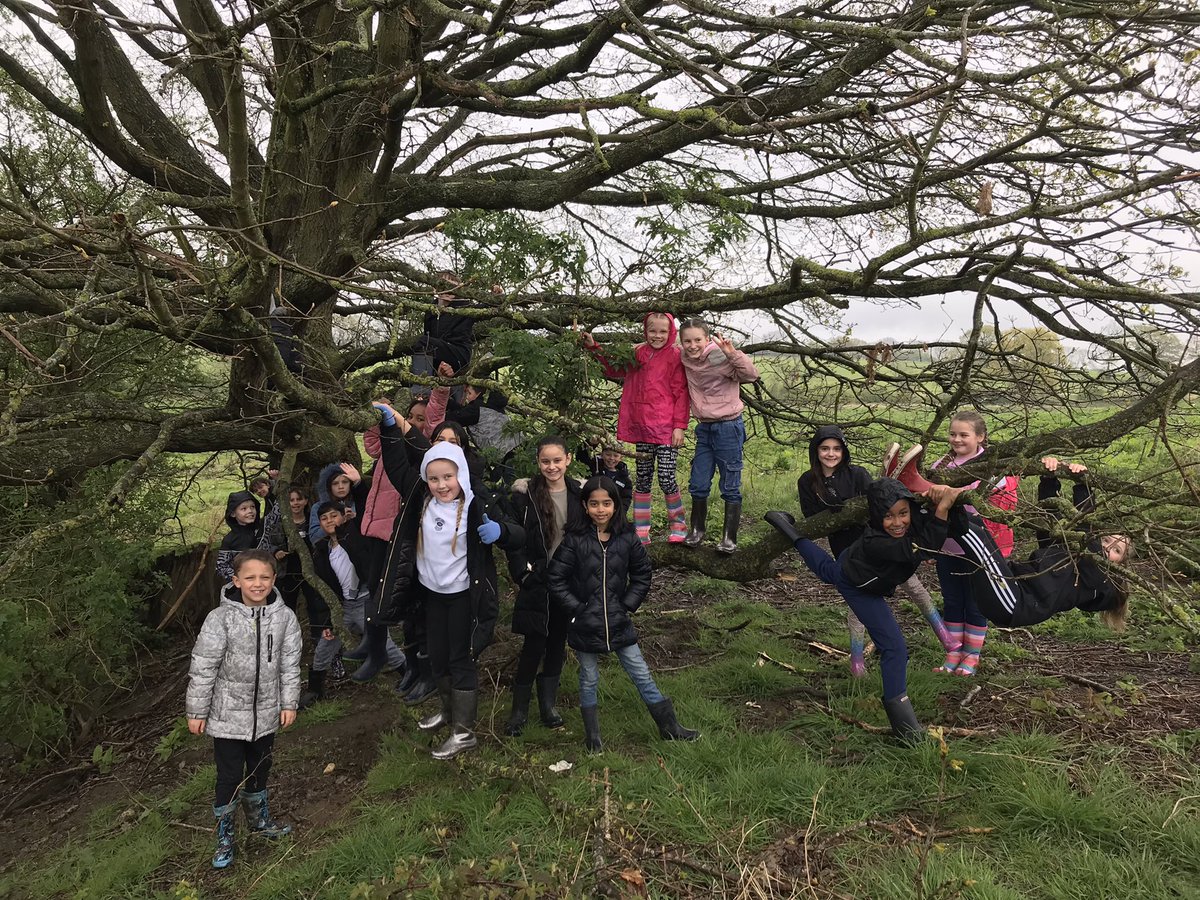 Climbing The Lucky Tree of Atherstone (so legend has it…)