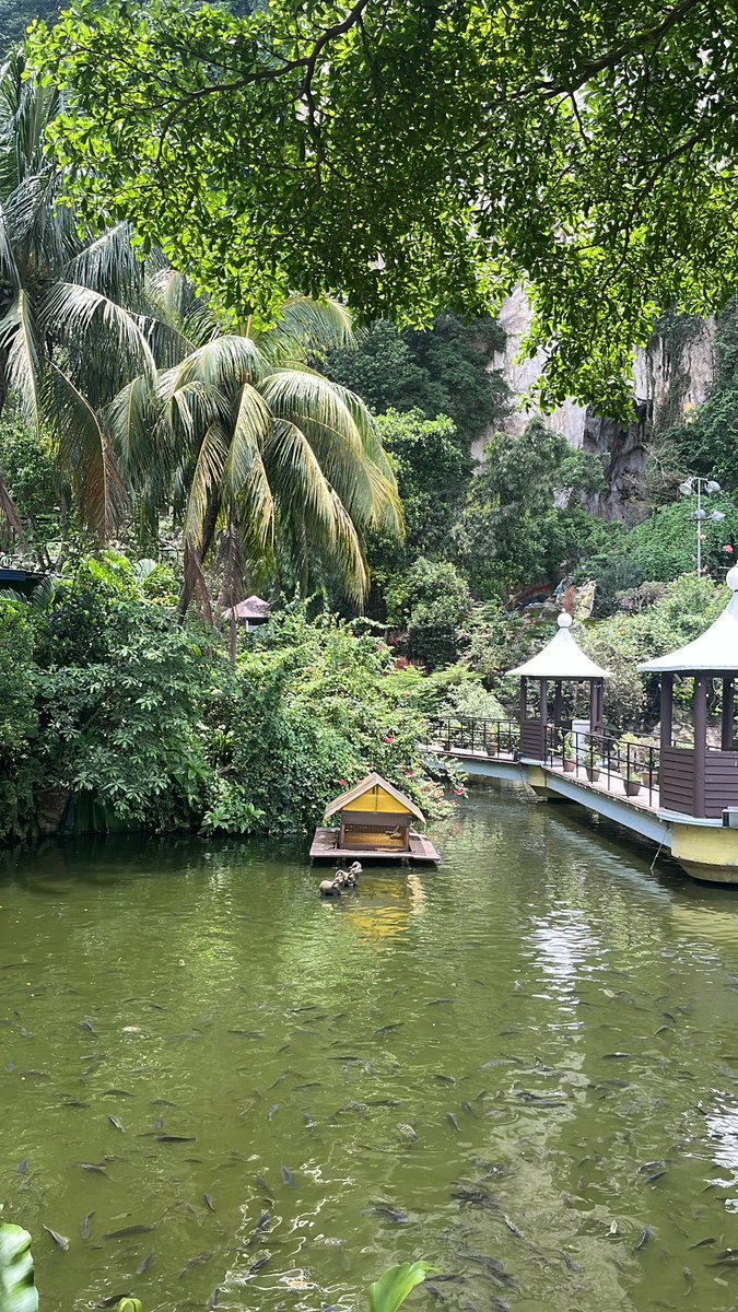 I may have not travelled much but whatever I have, I feel Kuala lumpur is one of the greenest capital of a country. While there is a concrete jungle, there is adequate natural cover running alongside!

#Malaysia #traveldiaries #travel @TourismMalaysia