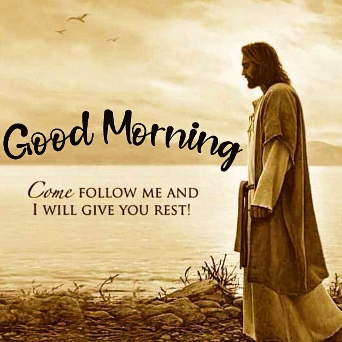 joybells49's tweet image. Good morning, God 🙏☀️ [zcu.io/8RQG] Today, we give thanks for the gift of life and the chance to make a positive impact. Guide us with Your wisdom and fill us with Your love. In Jesus name. Amen #GoodMorningGod #BlessedDay #Gratitude #DivineGuidance #FaithMonday