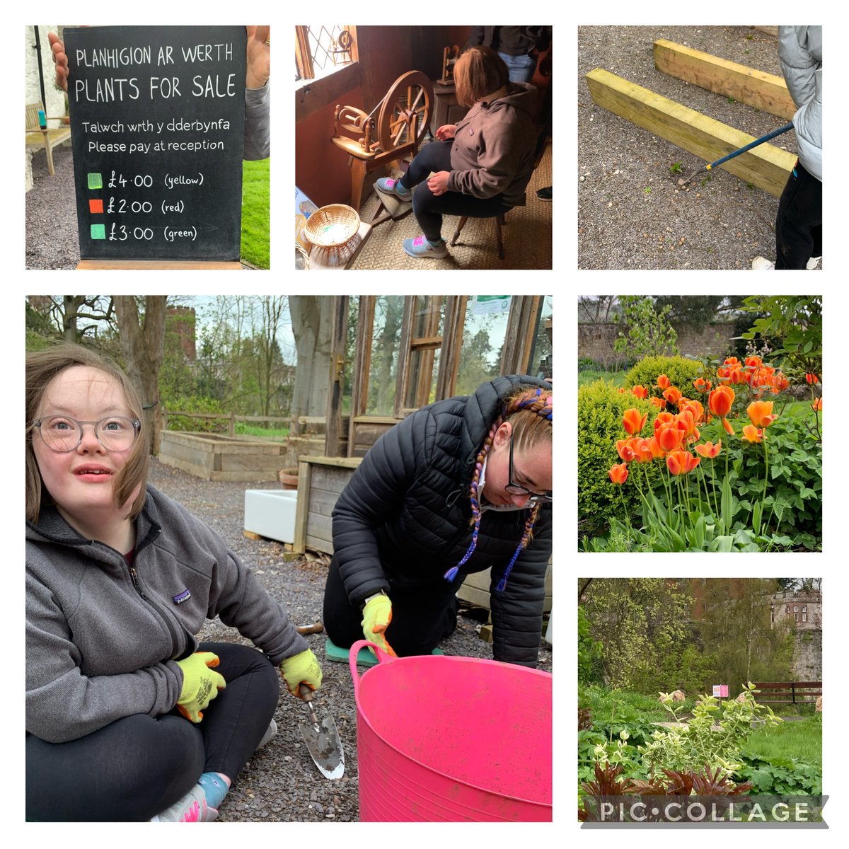 TirMorfa's tweet photo. #YTMPOST16 are so happy to be back @nantclwydruthin on work experience. The garden and house look incredible. We love the tulips. #ytmcwre #ytmcomm https://t.co/wOCxIlbGII