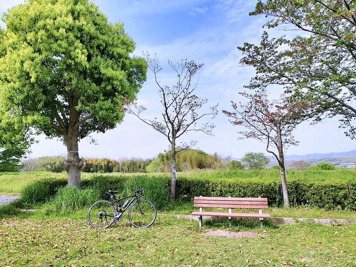 aozoranon's tweet photo. 少し

蒸し暑かったですが、

緑が

きれいな季節に

なりました。

景色を

眺めながら

ゆったり走るのが

たのしい。

#自転車  #ロードバイク  #BRIDGESTONE  #ANCHOR  #RL3DROP  #ポタリング  #ゆるポタ  #緑がきれいな季節に  #日々是好日  #自転車はたのしい https://t.co/nuLPDrK5qA