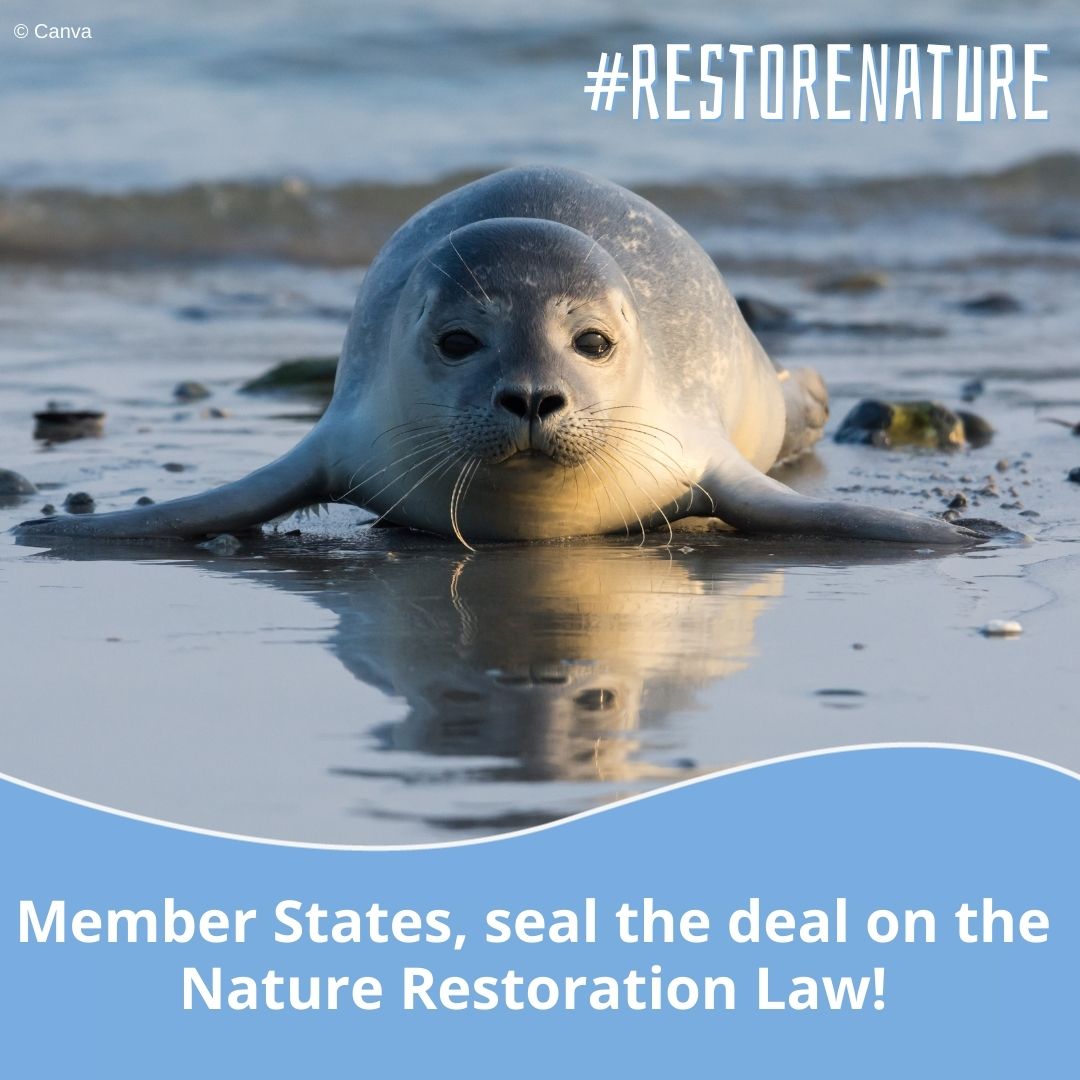 Today's #EarthDay reminds us that our battle for the Nature Restoration Law isn't over yet.
Europe is the fastest-warming continent and needs clear climate targets to protect people, economy & environment. The law to #RestoreNature is the solution we need! @DonaldTusk @EU2024BE