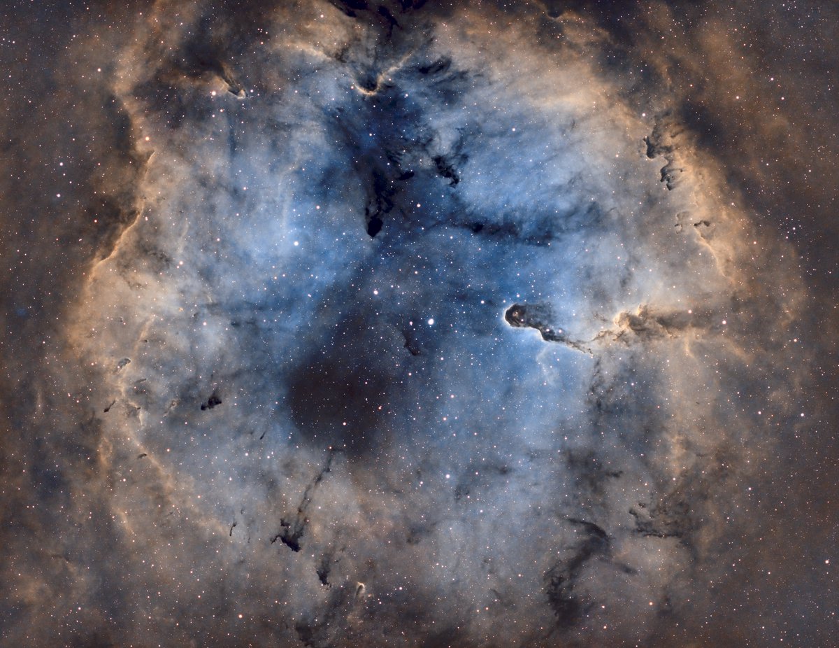 IC1396, the 🐘 trunk Nebula shot over the last two nights in the SHO palette. #Astrophotography First kinda successful try on this one!