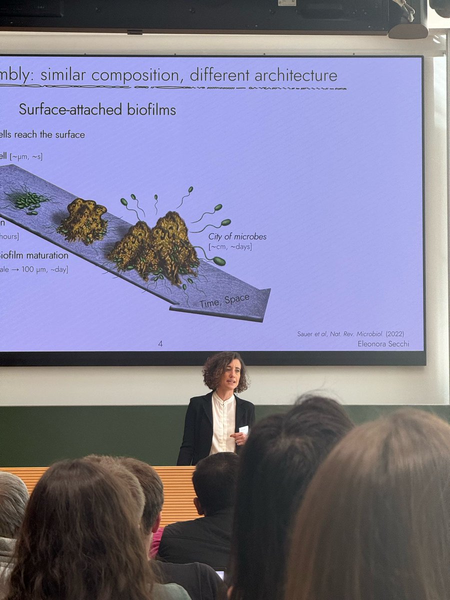 IntCha24 tweet media