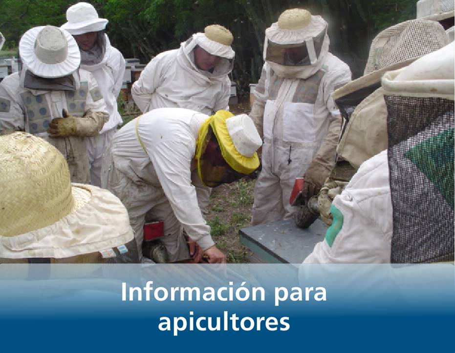 Según el <a href="/INTAProapi/">INTAProapi</a> los #precios de la #miel de #exportación, en los primeros días de abril, estaban entre $890/kg y $1.800/kg 📄Lea el informe completo acá ➡️  lc.cx/aZVWmz 📲 Acceda al visualizador de Precios regionales de la miel acá ➡️ lc.cx/KnseYZ
