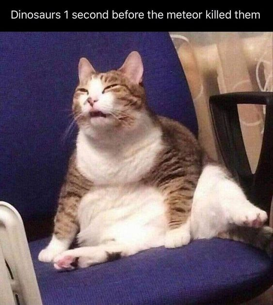 GLx-gPnW0AAovRk?format=png&name=small