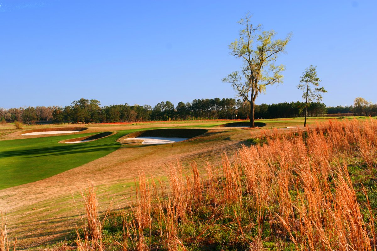 GulfSouth's tweet photo. The 2024 #GSCgolf Championships are underway from Kinderlou Forest Golf Course! 🏆🏌️♀️🏌️♂️
🔗 https://t.co/xfSbpCZerI https://t.co/xoDPMZnTNu