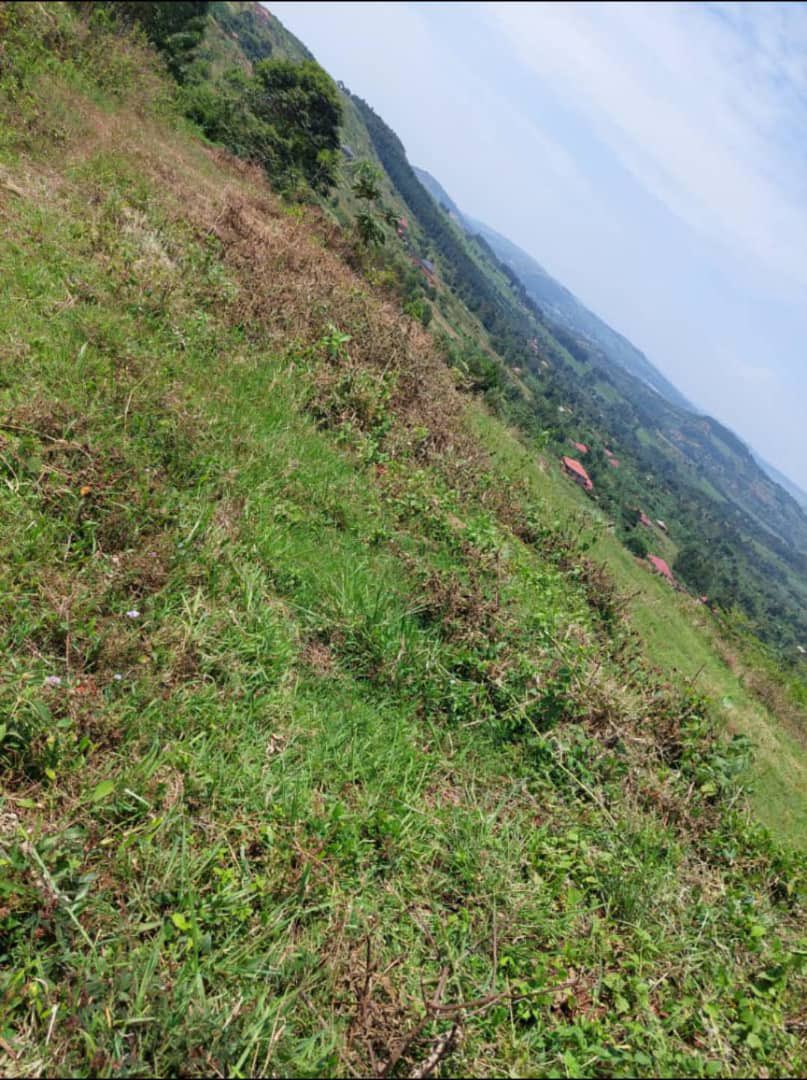 PLOTS ON SALE In Mbalala_Mukono,along Jinja road,3.5km from the main road. Each 50*100ft at UGX 11.5m With ready land titles Make first deposit and pay the balance in monthly installments Call/WhatsApp @mugabi_praise 0706147006/0783821918 Find us in Wandegeya, behind