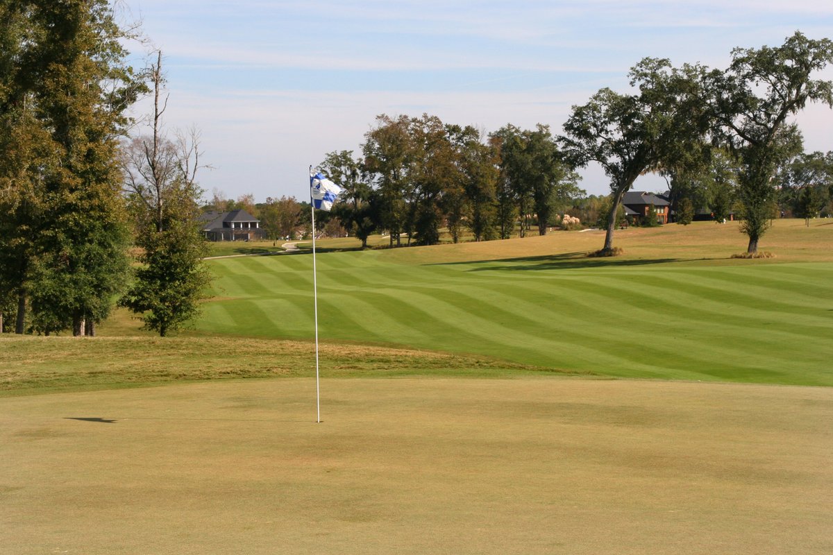 GulfSouth's tweet photo. The 2024 #GSCgolf Championships are underway from Kinderlou Forest Golf Course! 🏆🏌️♀️🏌️♂️
🔗 https://t.co/xfSbpCZerI https://t.co/xoDPMZnTNu