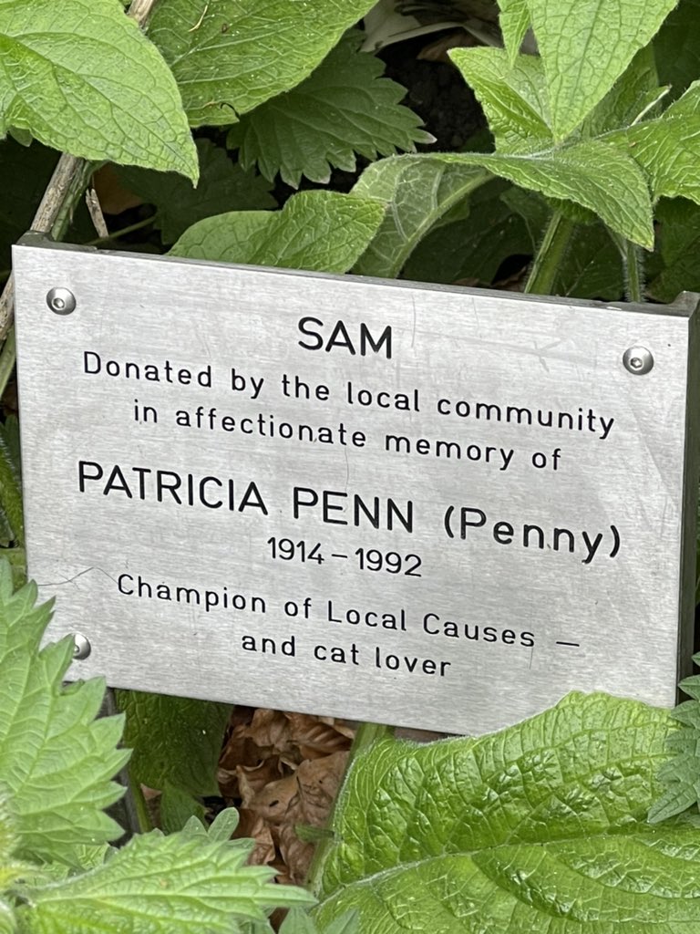 Steve Price tweet media