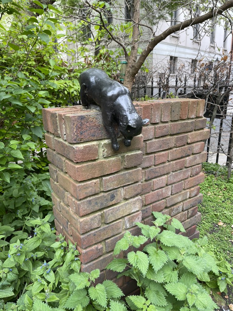 Steve Price tweet media