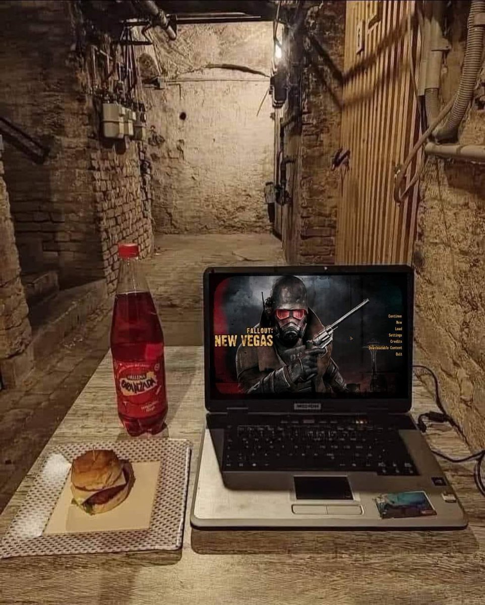 Fallout New Vegas