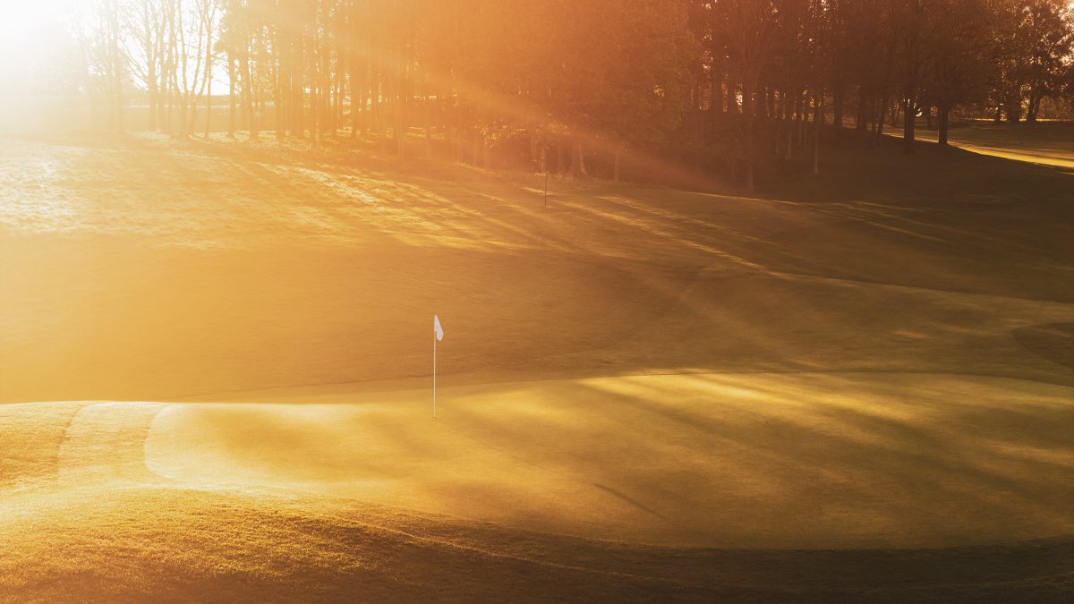 Early morning light over the 7th @BrocketHall Palmerston course  #lovegolf #GolfArt #kevinmurraygolfphotography #banditgolfproductions #GolfMonthly #BrocketHall.