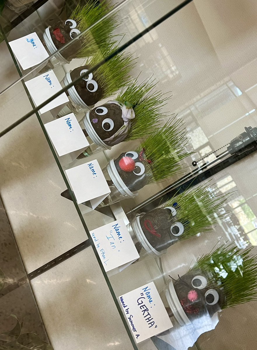 Ch, Ch, Ch, Chia!! @HPetersonMS Our Grass Gang GREW ‘hair’ over the weekend, just in time for #EarthDay🌎 You GROW lil guys!!🪴#hpmsBEST #KISDinspires #ScientificProcess #GrowOn