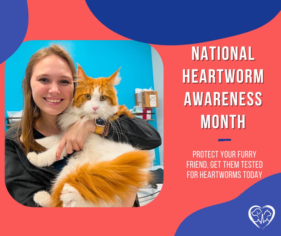 Learn how to protect your furry friend with our heartworm prevention options at one of our 12 convenient locations! 🐶🐱❤️