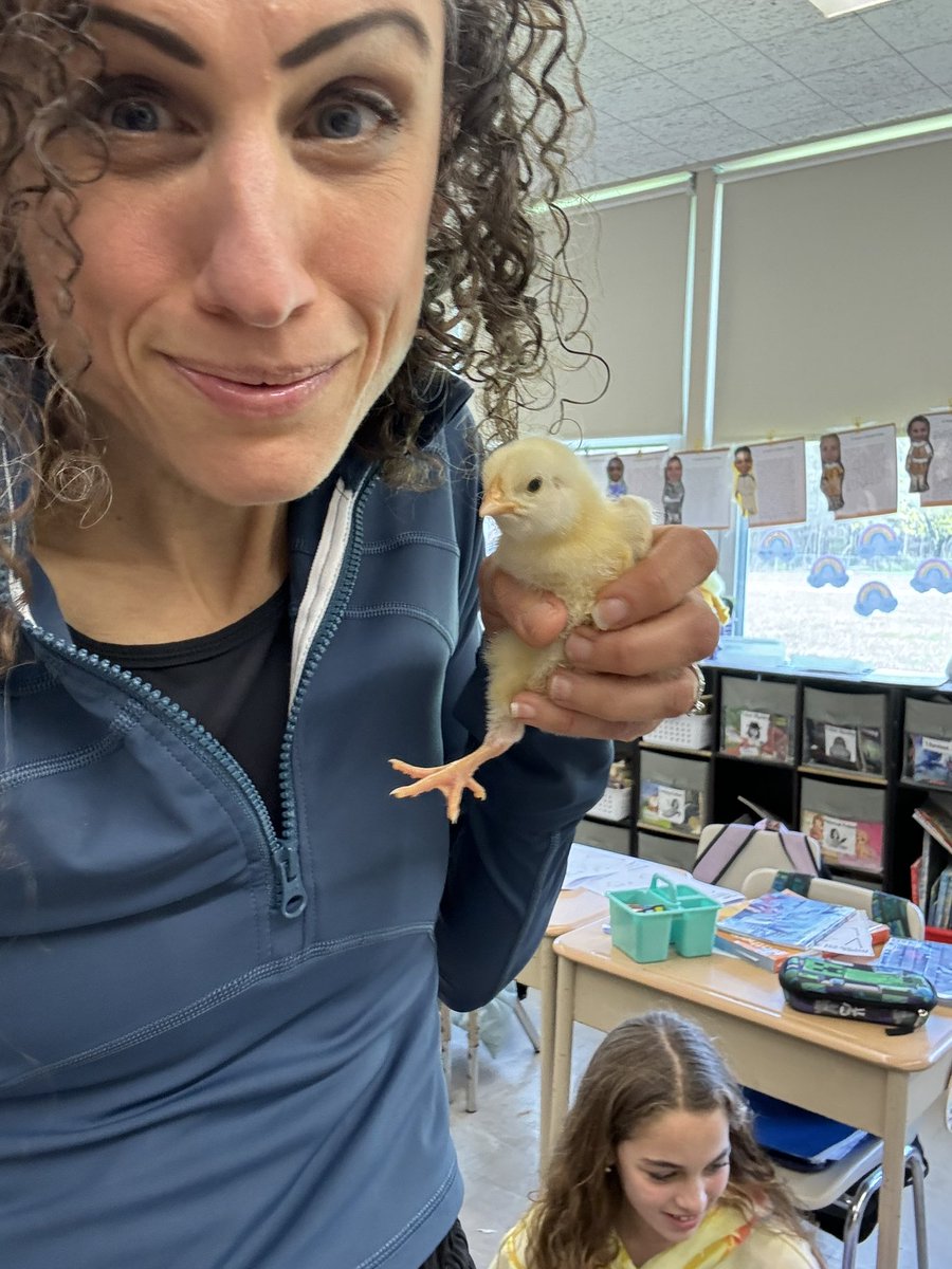 Great way to kick off the week and celebrate Earth Day- with a visit from these cuties!! Thank you to Penny and her mom for teaching us all about baby chicks! <a href="/WCSDEmpowers/">WCSDEmpowers</a> <a href="/GayheadWCSD/">Jim Daley</a>