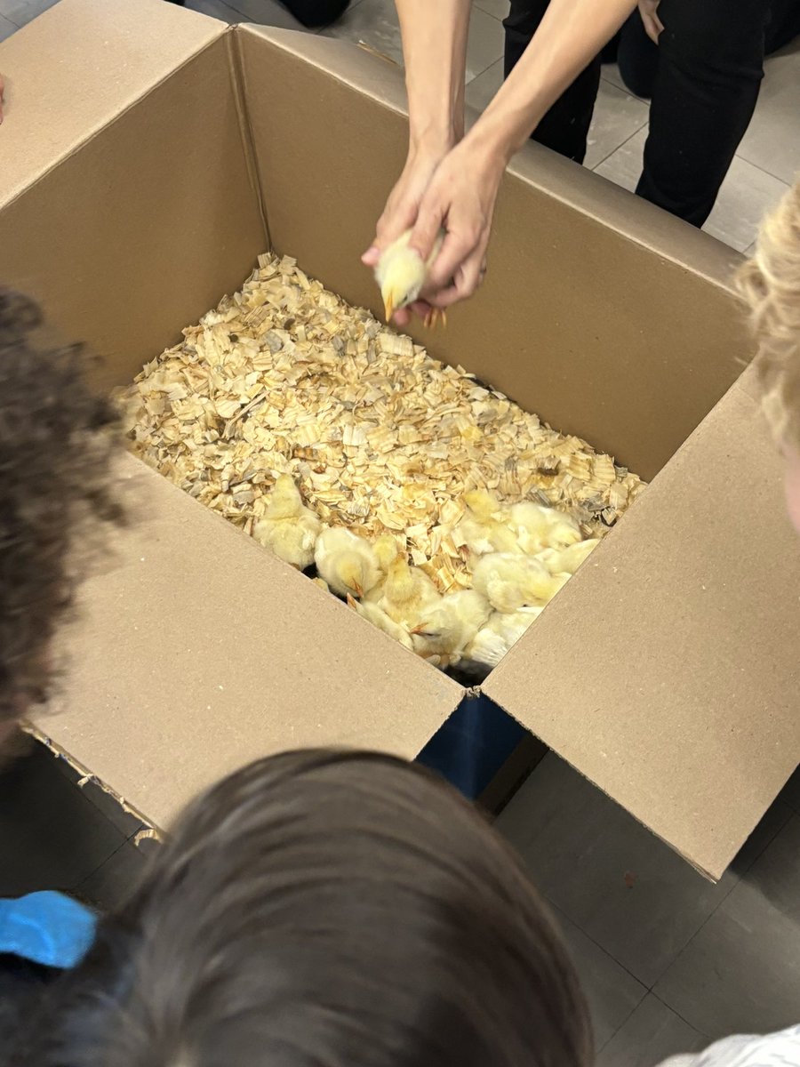 Jennifer Colucci tweet media