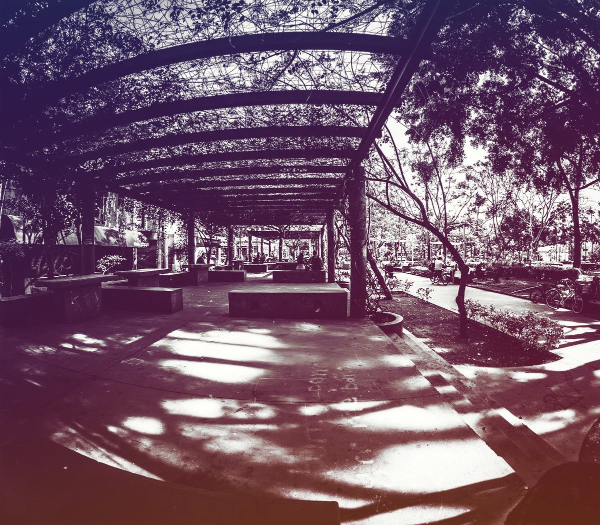 Rest here weary traveler, for great adventures lie ahead
..
..
#parquerojo #parquerevolución #cafenecesario #coffeebreak #viarecreativagdl #urbanphotography #urbanlandscape #streetphotography