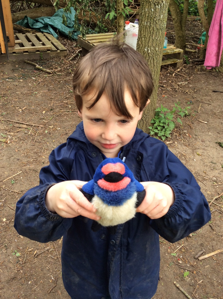 YR Elm Class, Necton CofE Primary School tweet media