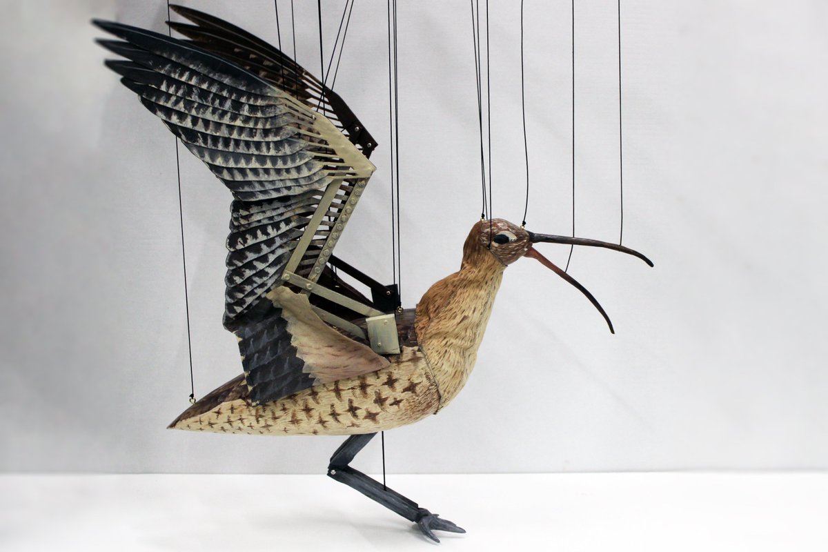 RWCMD's tweet photo. Happy #WorldEarthDay2024!🌎

Through their creative work, #RWCMDDesign student Nico Venables created life-like puppets to raise awareness about the decline of curlews with Game Wildlife Conservation Trust and Curlew Connections Wales.

Meet Debbie, the Eurasian Curlew marionette! https://t.co/PhDrNg3Ovm