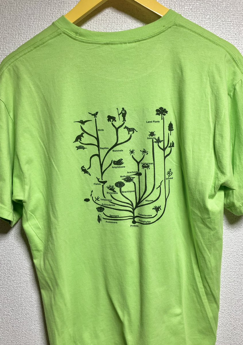 「私は馬鹿なので、こんなプリントのTシャツばかり買って来てしまう。詰んだ。 」|reo sato（宵待通信)のイラスト