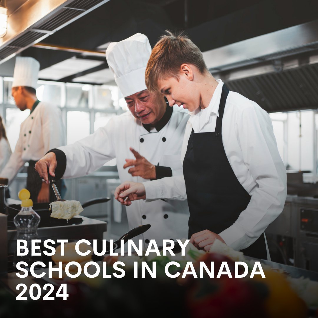 Join us in celebrating the future of culinary artistry! Kudos to @UniversityMaga's list of best culinary schools in Canada for 2024 - shaping the next generation of chefs and restaurateurs. See the full list here: bit.ly/3U8flj6 #chefsinthemaking #futureoffood