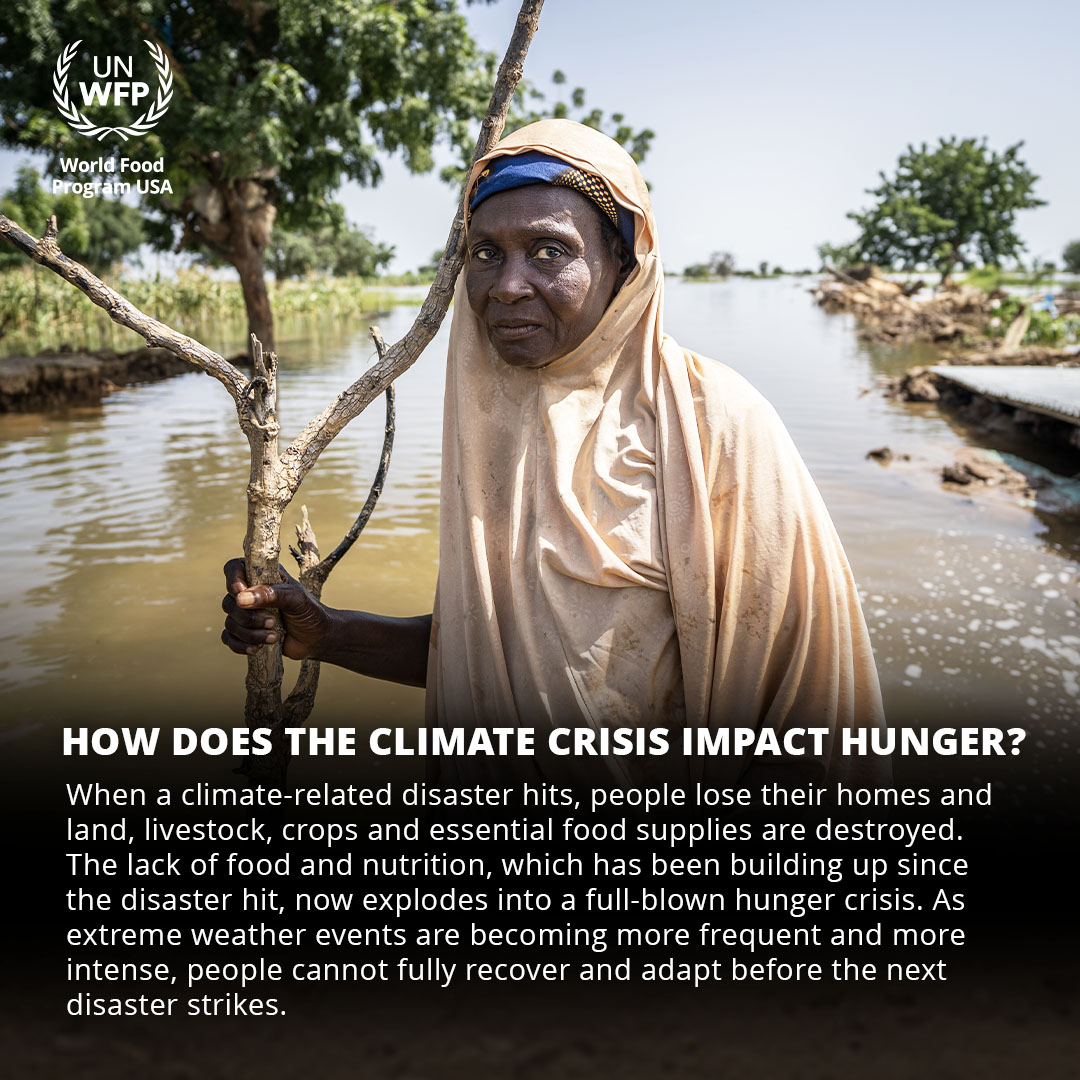 Did you know the climate crisis is one of the leading causes of hunger? 🌏 40% of the global population lives in areas that are highly vulnerable to climate extremes and in 2022, climate extremes were the primary driver of hunger for 56.8 million people.