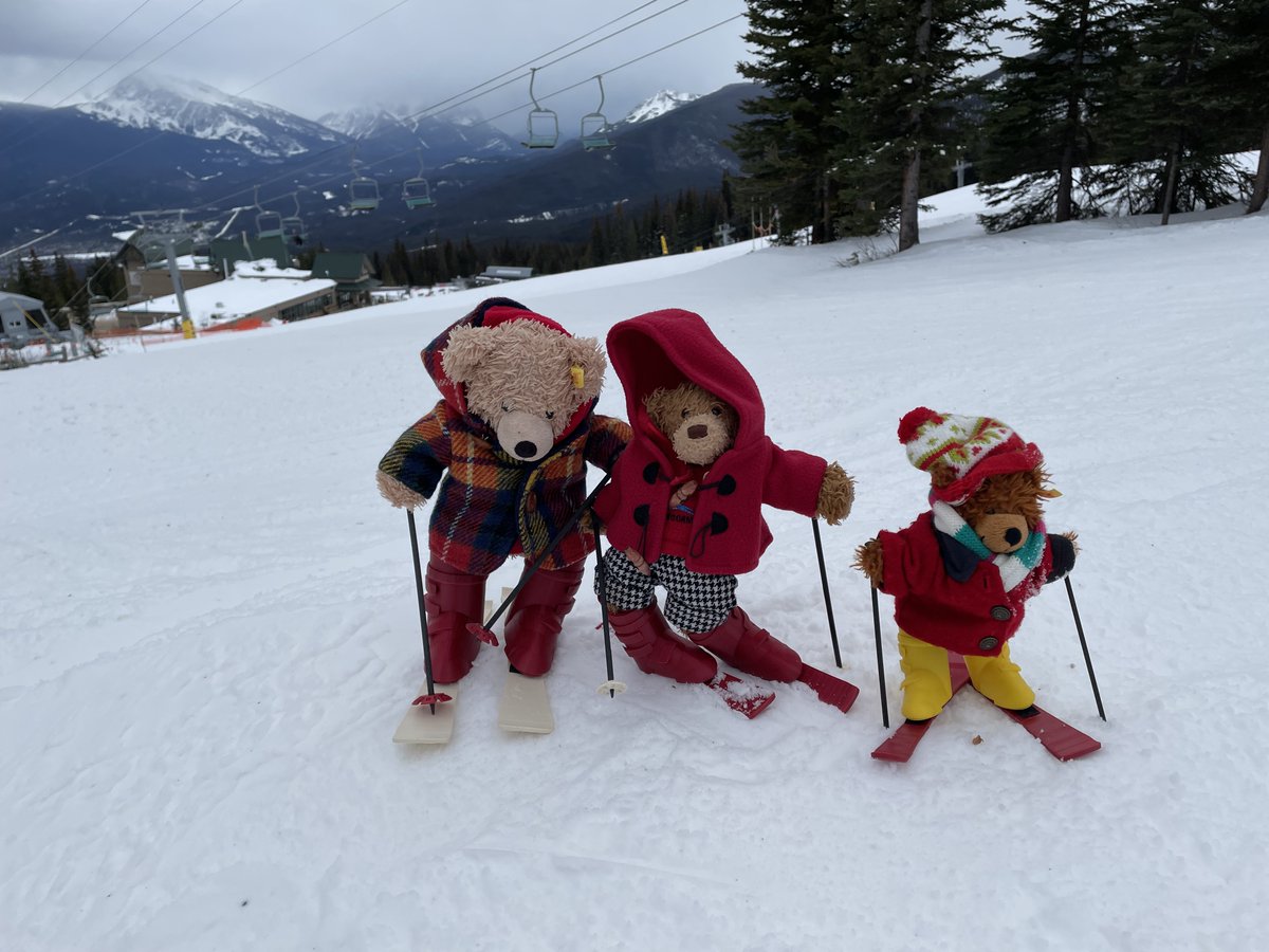 Oh no! The middle bear has been drinking, he can hardly stand up. Bears shouldn't drink and ski. Accidents will happen. ##Flynn #FlynnTheBear #MarmotBasin