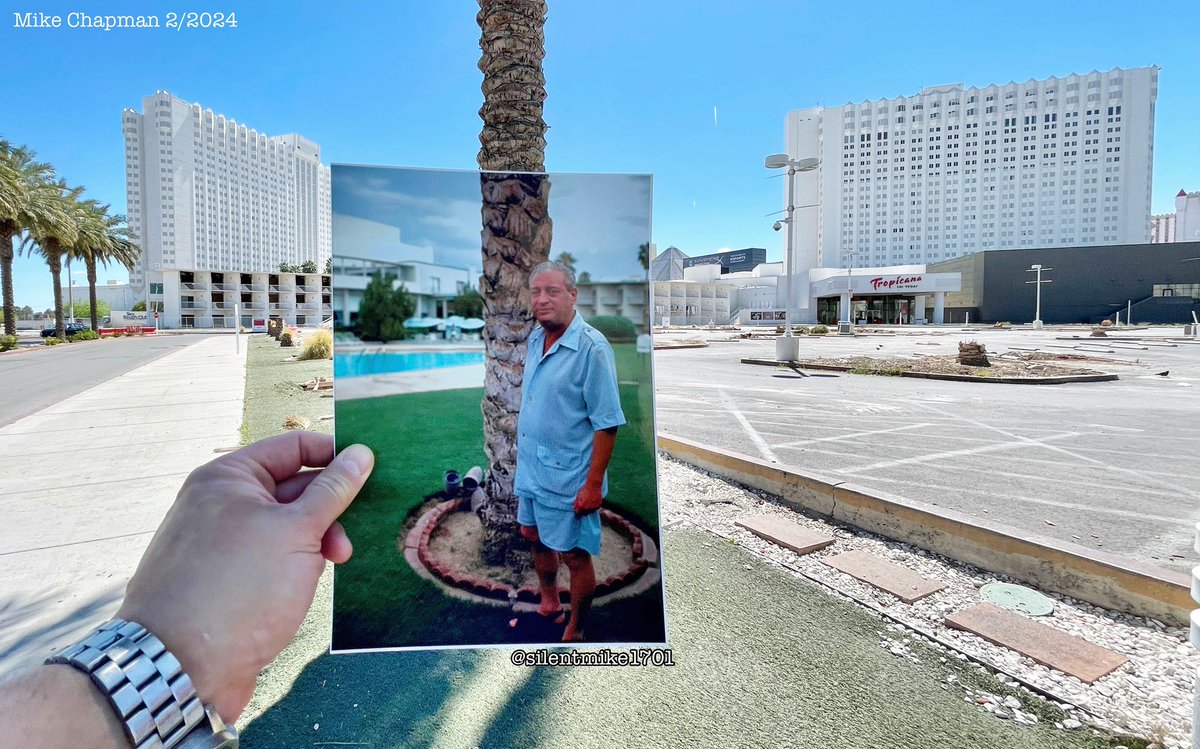 STEVE LANDIS photo of #rodeydangerfield at the Tropicana pool 1974. Made an artistic approach lining with a palm tree. Comment &amp; let me know what you think. 
 #standup #comedian
#movielocations #movielocation #locationscouting #locationscout 
#travel #vegas #lasvegas #nvfilm