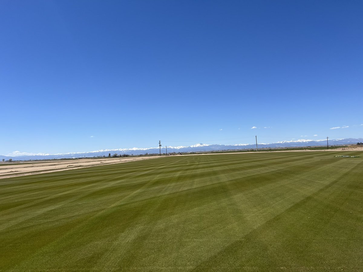 If anyone is looking for some T1 or Dominant Extreme 7, be sure to let me know! We have a ton ready to go, need to free up some ground, and I can vouch for how good it came out (I grew it myself 😆)