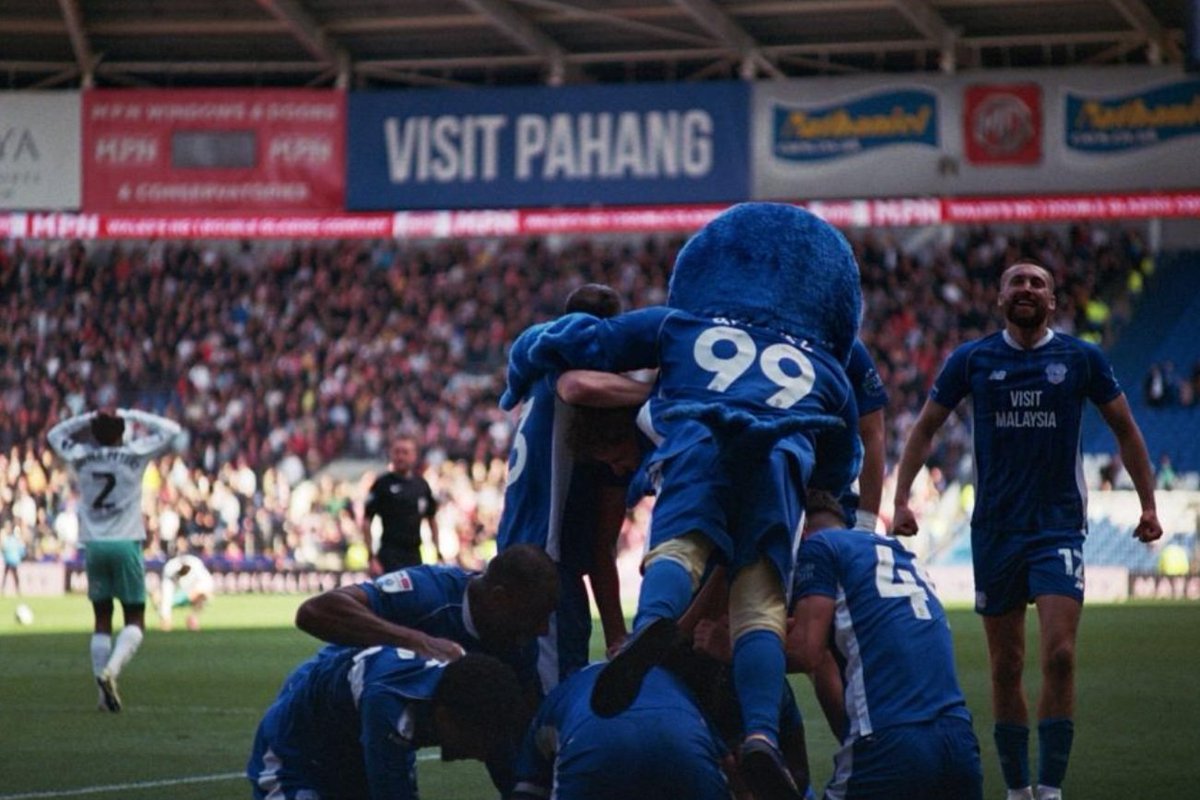 What a photo this is - Bartley mid-flight, KWP crying in the background and Nat confirming he's 100% a bluebird. Sign the contract  ✍️