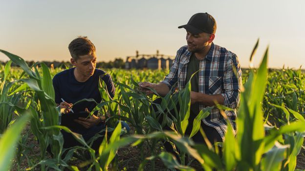 US farms are making an urgent push into AI. It could help feed the world

buff.ly/4a6VCqO

#agriculturaltech #agtech #foodtech #farmingtechnology