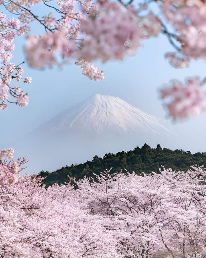 Mount Fuji - Japan ❤️