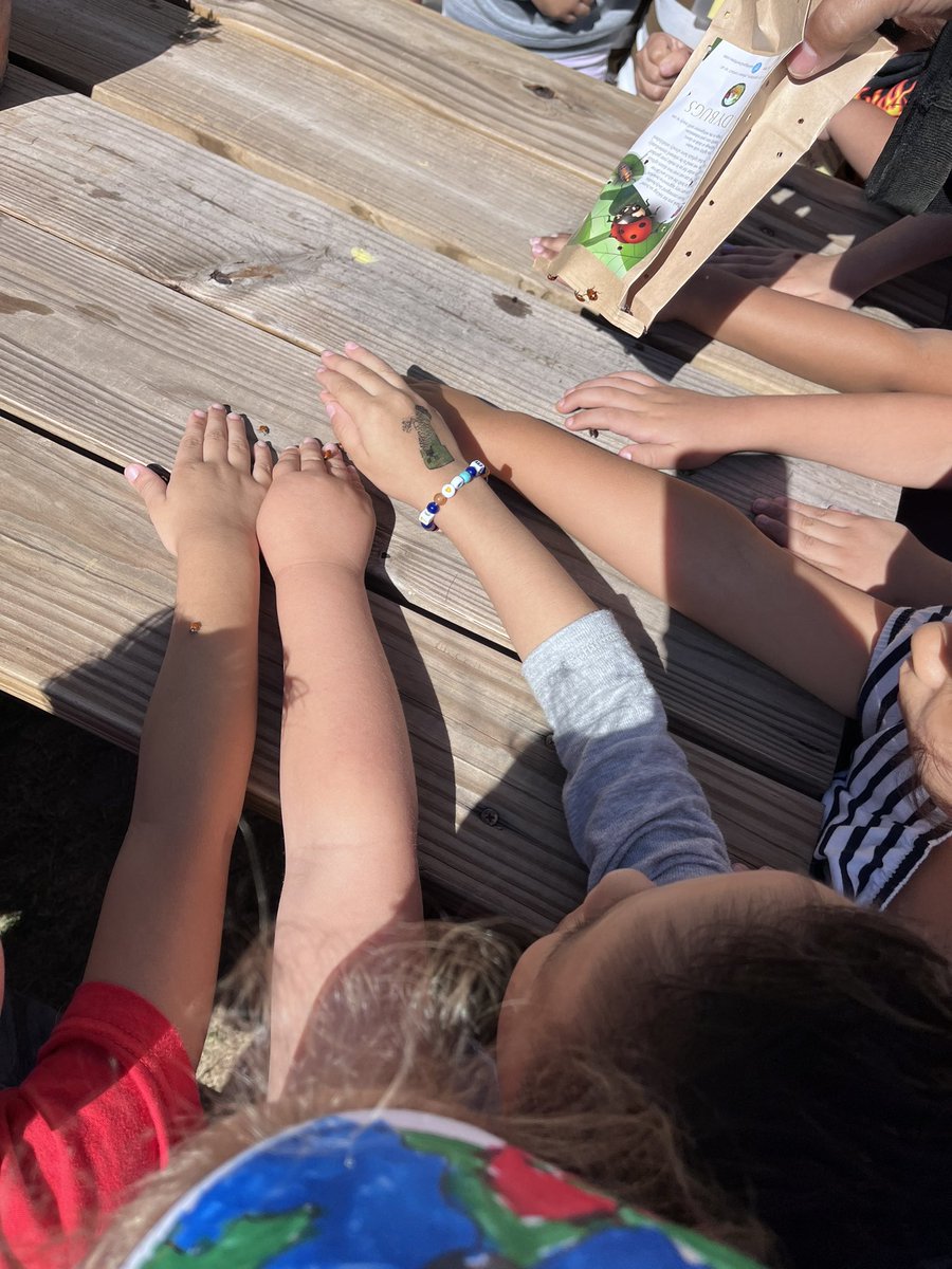 HaleyEmery4's tweet photo. 🌎 Happy Earth Day! 🌎 Our PreK classes released ladybugs on this beautiful day! 🐞
#RedBluffElementary
@prekpasadena 
@PISDELEMSS https://t.co/K8cmkma3vk