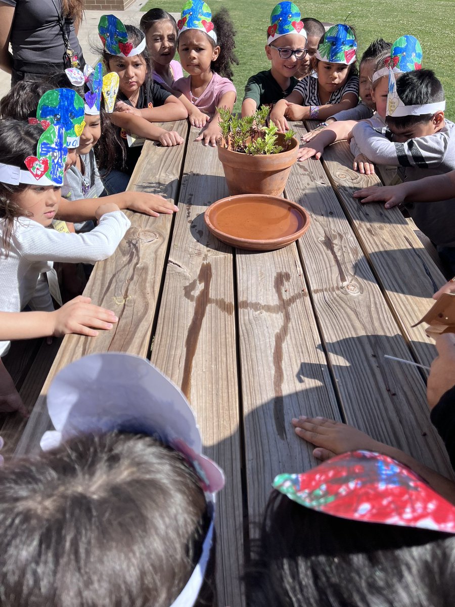 HaleyEmery4's tweet photo. 🌎 Happy Earth Day! 🌎 Our PreK classes released ladybugs on this beautiful day! 🐞
#RedBluffElementary
@prekpasadena 
@PISDELEMSS https://t.co/K8cmkma3vk