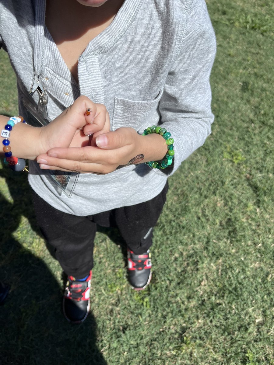 🌎 Happy Earth Day! 🌎 Our PreK classes released ladybugs on this beautiful day! 🐞
#RedBluffElementary
<a href="/prekpasadena/">Prek Pasadena</a> 
<a href="/PISDELEMSS/">PISDELEMSS</a>