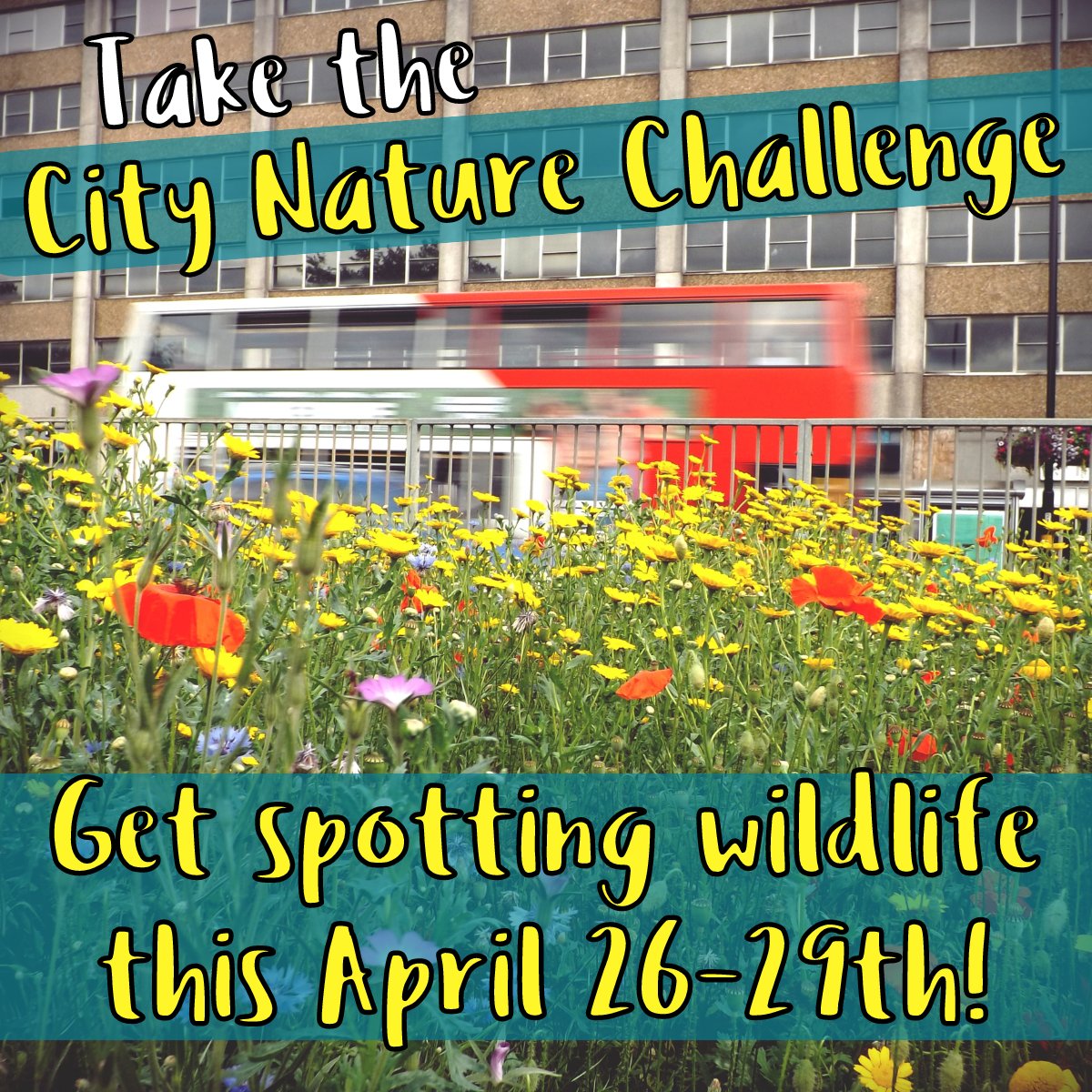 It's #CityNatureChallenge week! Can you help us show the world how wild Birmingham & the Black Country really is? Use a free app to spot wildlife on your own or join our expert team for FREE guided walks from April 26-29! Find out more and book your place: bbcwildlife.org.uk/CityNatureChal…