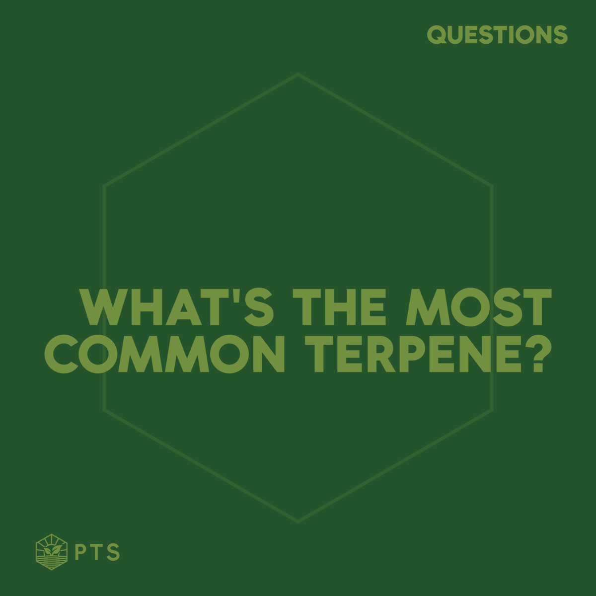 PTSGrows's tweet photo. Get to know your Terpenes! Don't get caught with "What the Terp? Face." #Terpenes #CannaSmarts #TerpsRule #FlavorInfusions #EducationIsTerptastic https://t.co/i6Dm9g9f9y