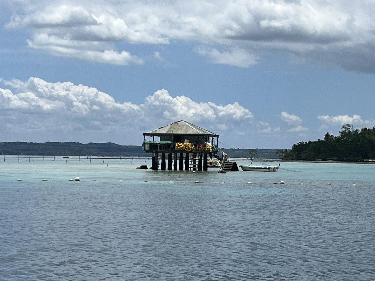 Imelda V. Abano tweet media