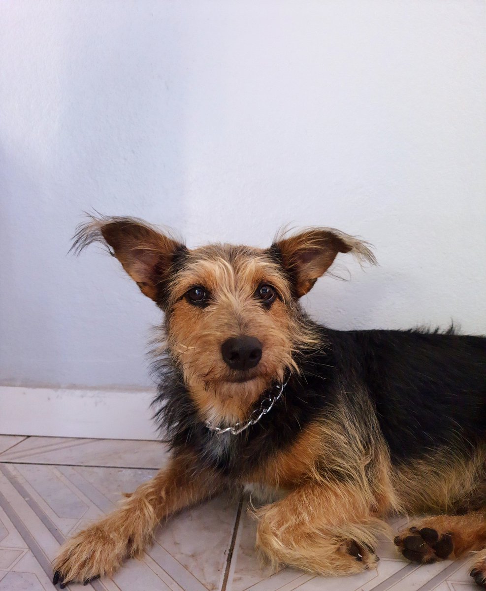 ___m00n's tweet image. 