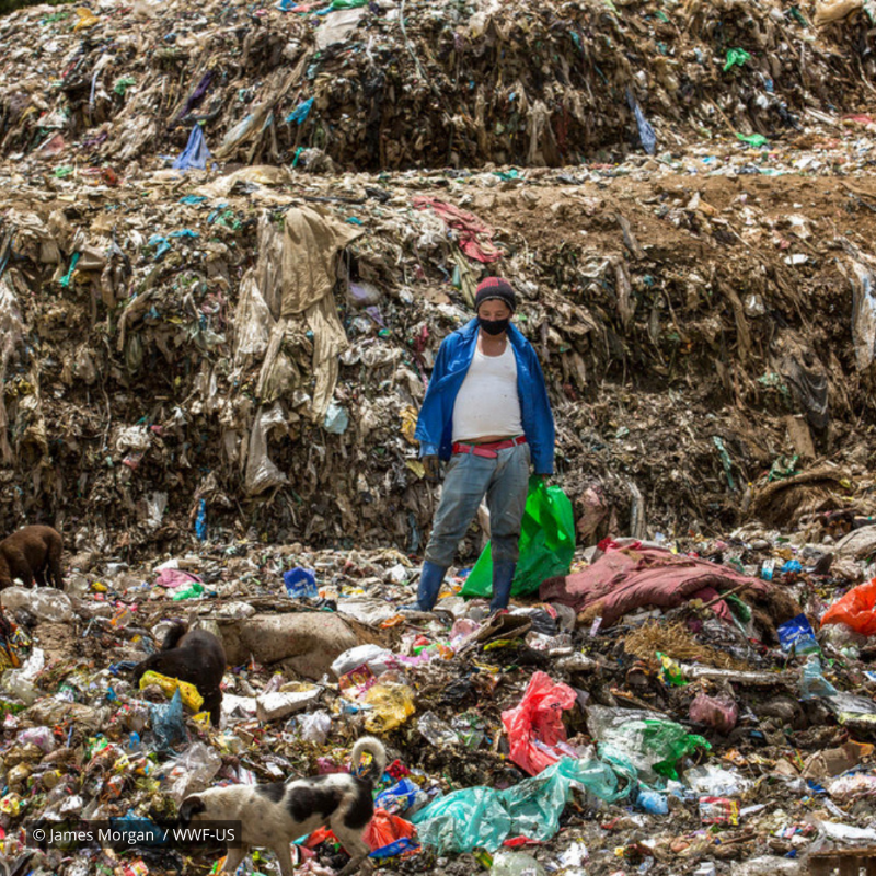 WWF's tweet photo. Shocking: In just under 20 years, global plastic waste has doubled 😧 Driven by single-use plastic products.

And the people who've done the least to contribute to this crisis are most impacted.

We can’t let this continue. #StopPlasticPollution: https://t.co/ZVCuarBFbX #INC4